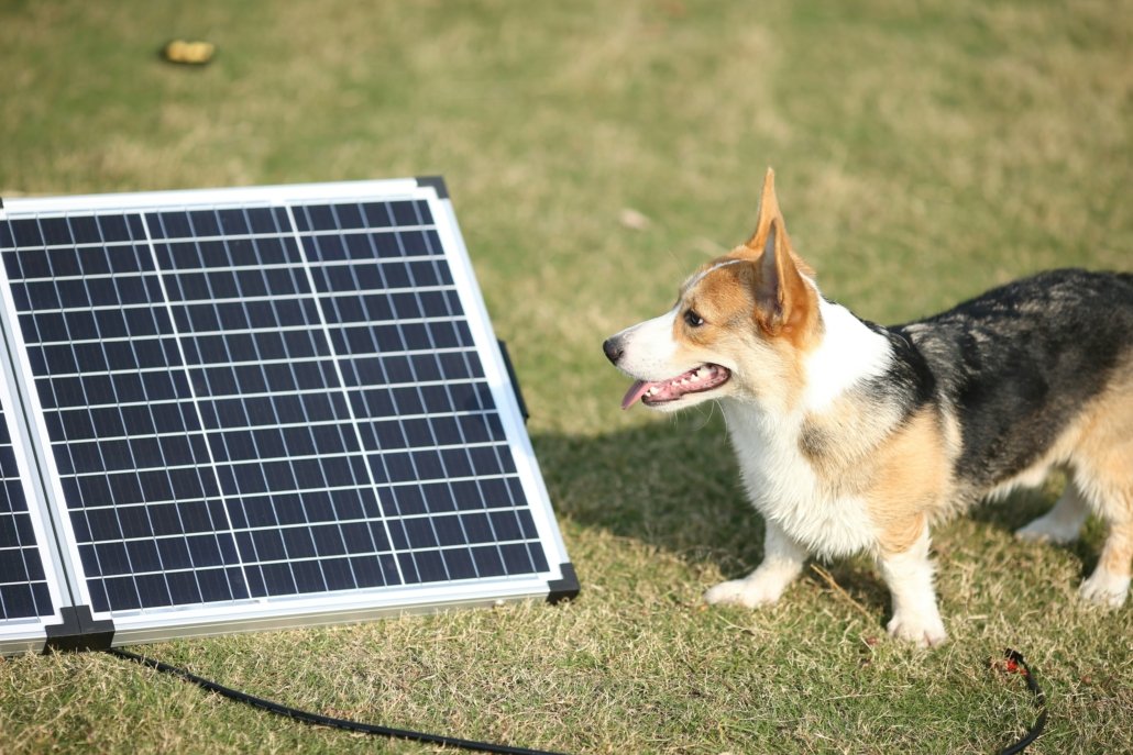 What is a Solar Inverter?